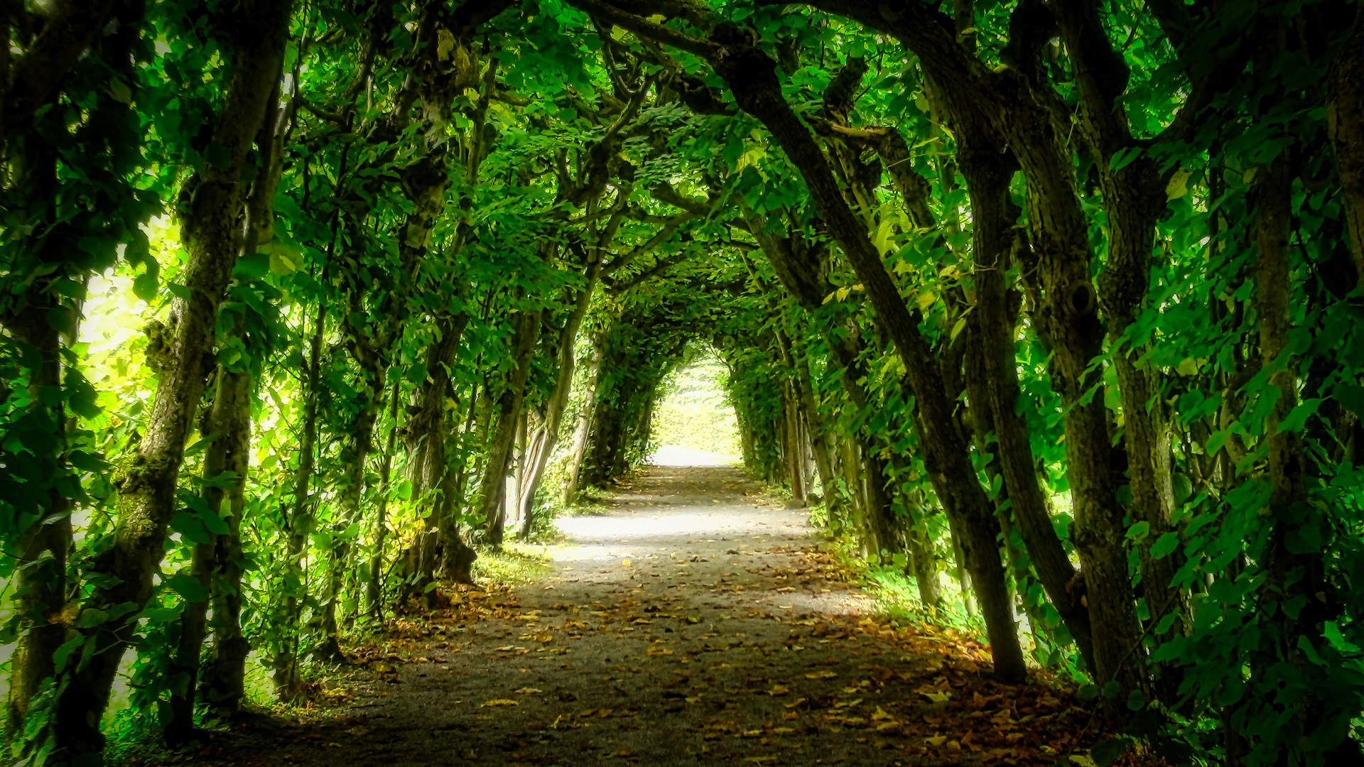 Licht am Ende des Tunnels