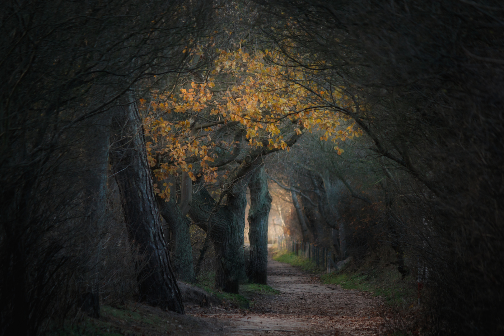 Licht am Ende des Tunnels