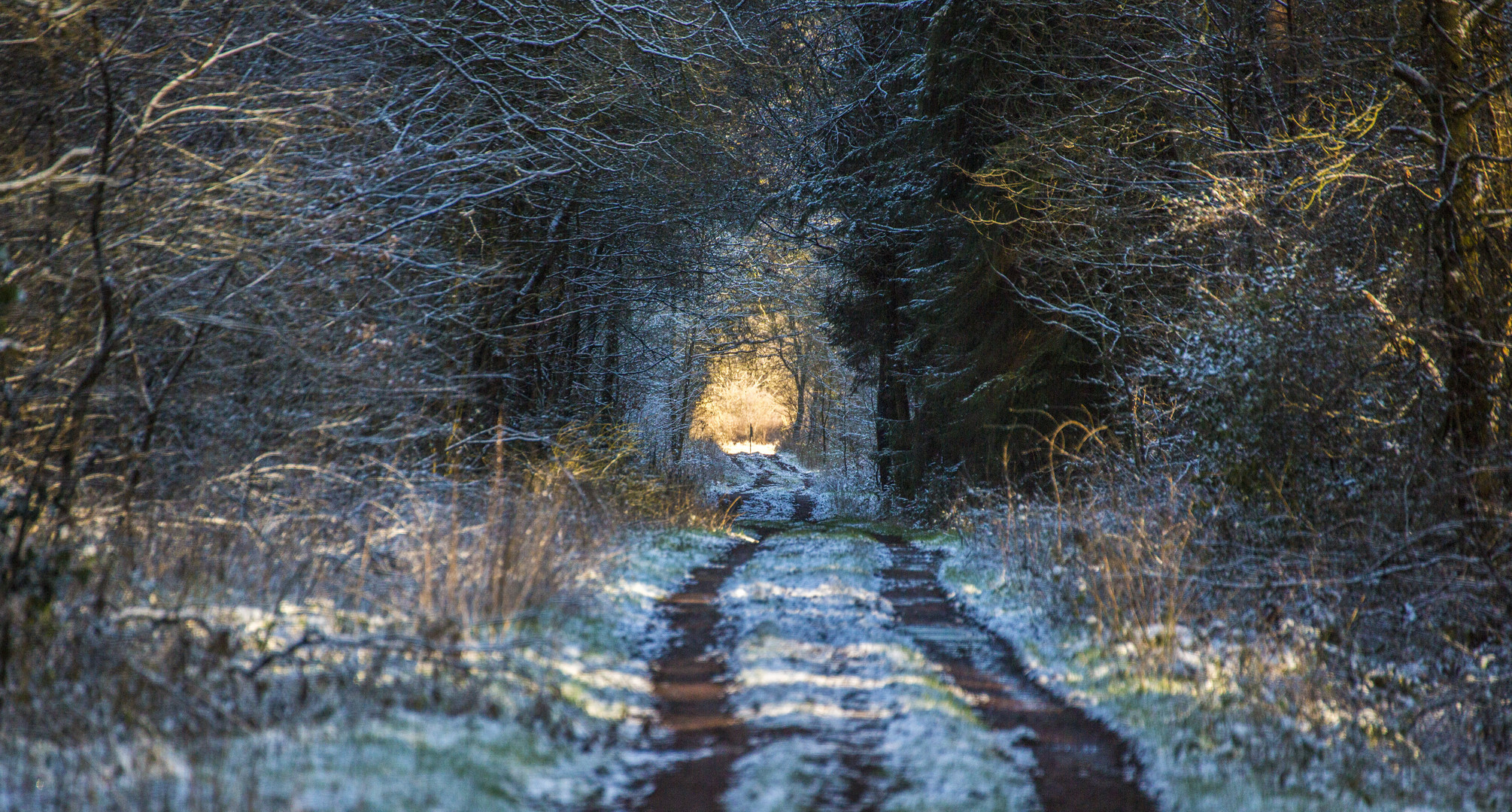 Licht am Ende des Tunnels