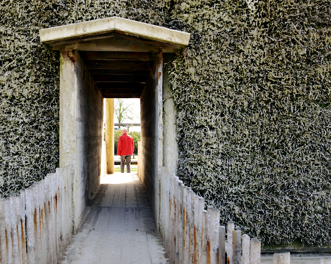 LICHT AM ENDE DES TUNNELS