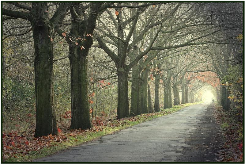 "Licht am Ende des Tunnels"