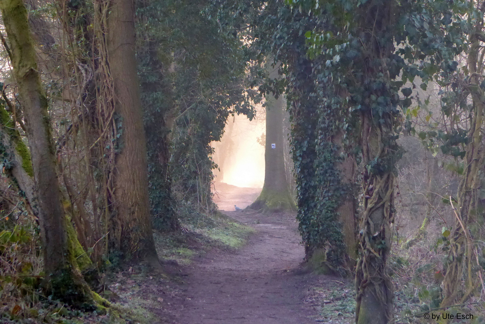 Licht am Ende des Tunnels