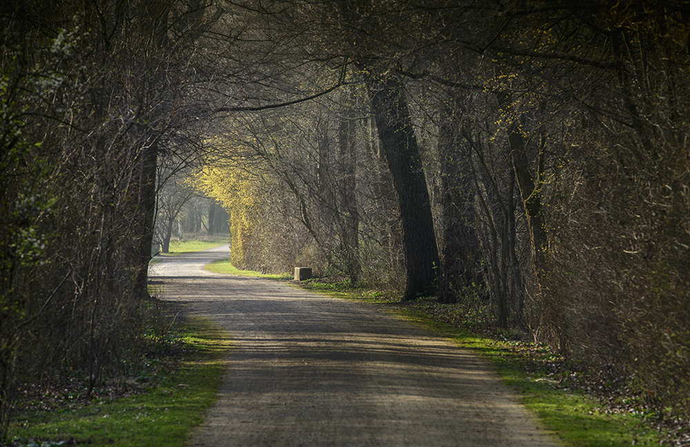 Licht am Ende des Tunnels