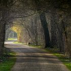 Licht am Ende des Tunnels