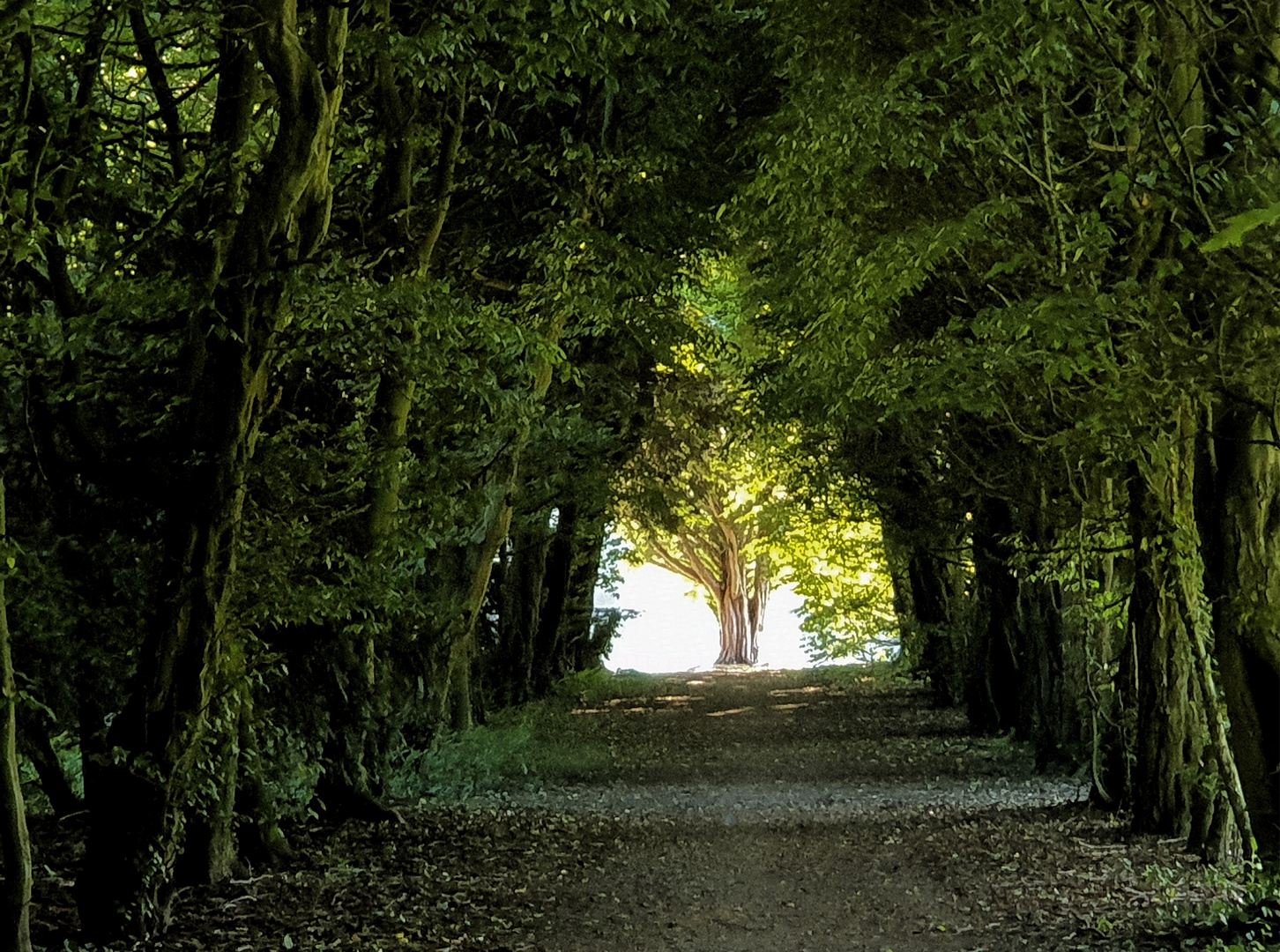 Licht am Ende des Tunnels 