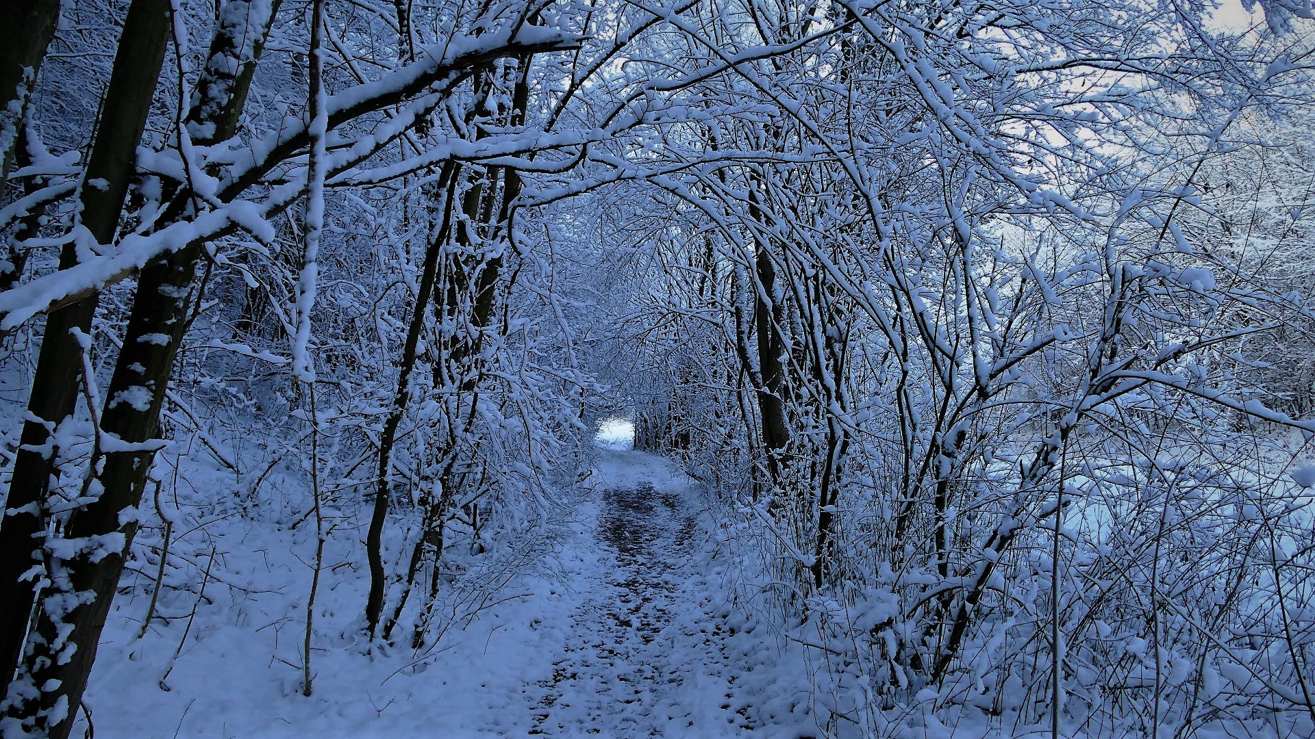 Licht am Ende des Tunnels 