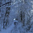 Licht am Ende des Tunnels 