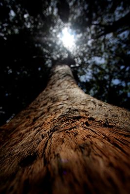 Licht am Ende des Tunnels...