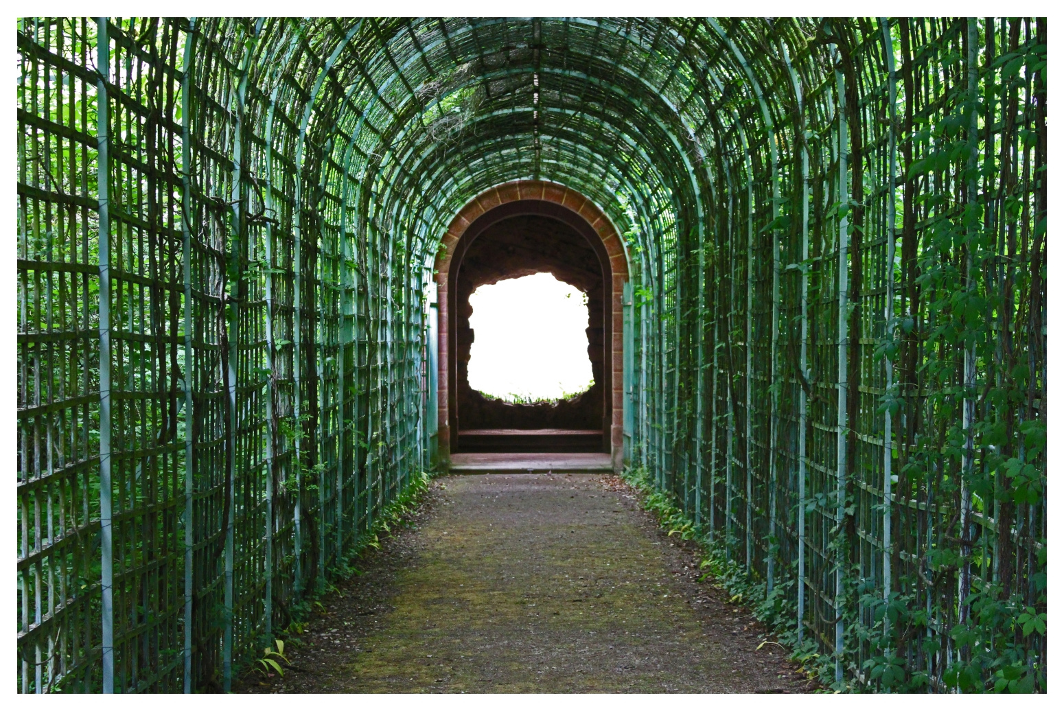 Licht am Ende des Tunnels