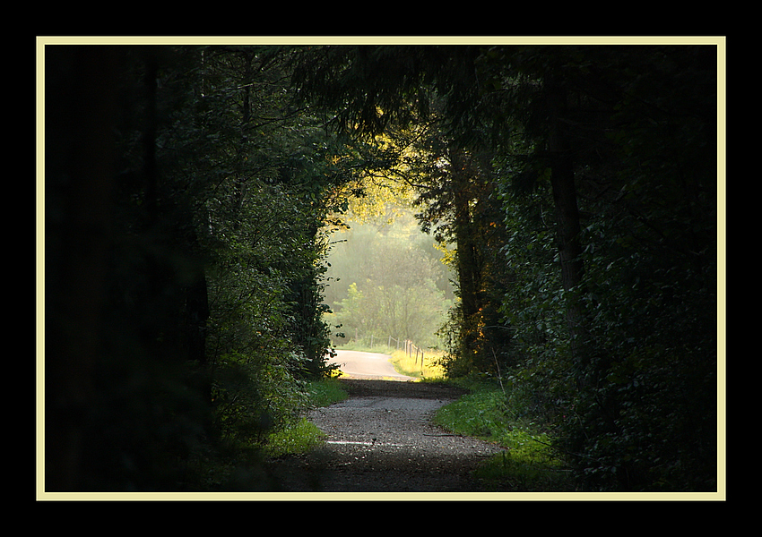 - Licht am Ende des Tunnels -