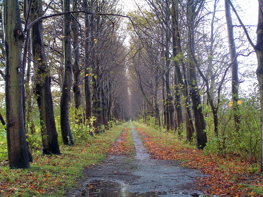 Licht am Ende des Tunnels