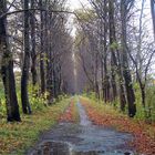 Licht am Ende des Tunnels