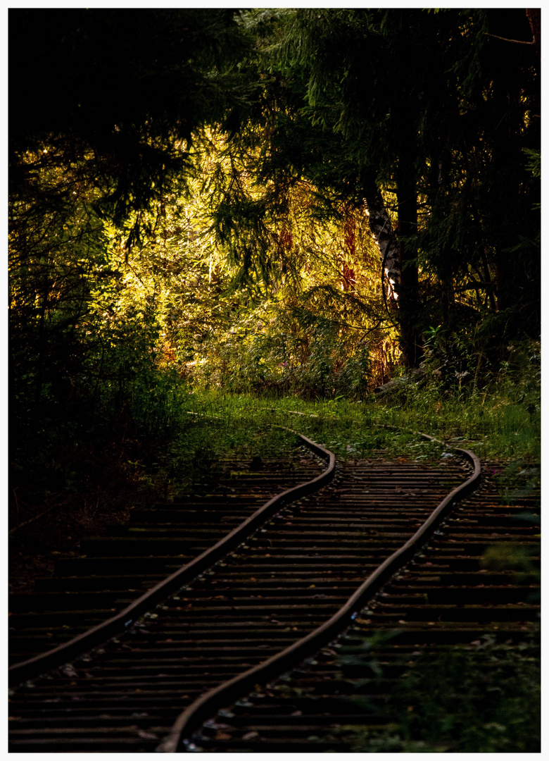 Licht am Ende des Tunnels 