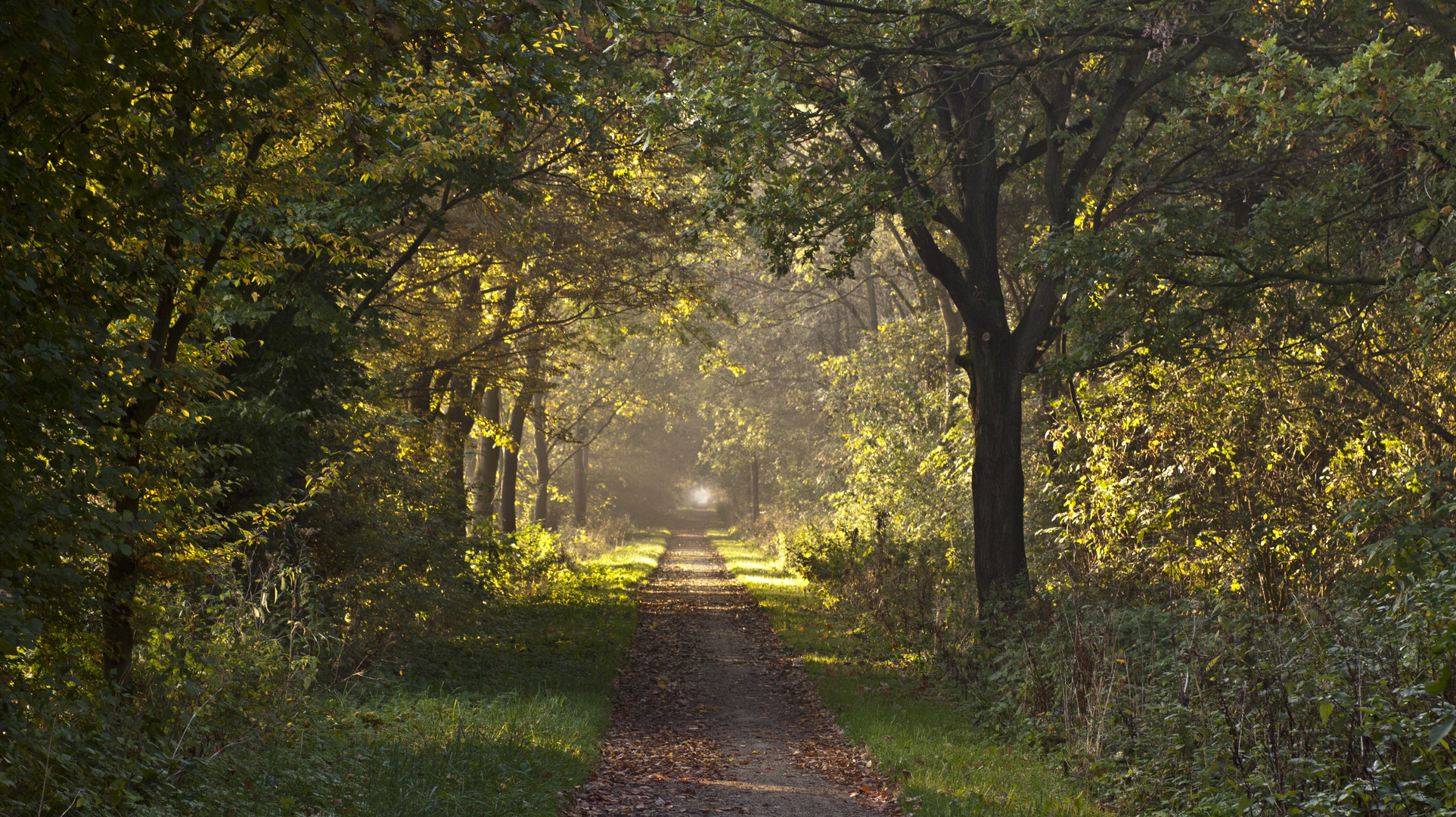 Licht am Ende des Tunnels