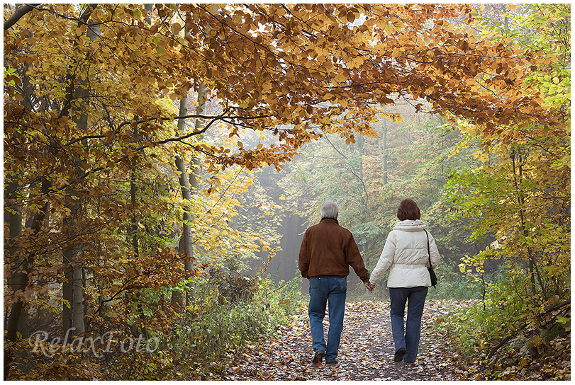 "Licht am Ende des Tunnels" - Seniorenpaar Händchen haltend beim Spaziergang im Herbstwald