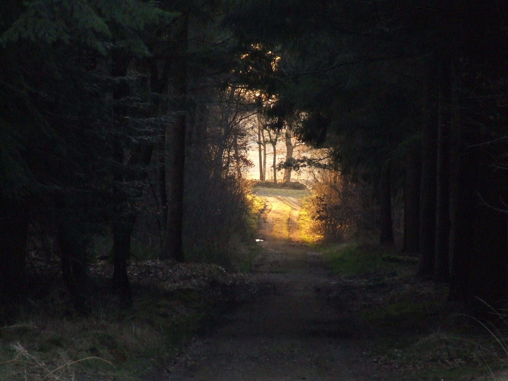 Licht am Ende des Weges