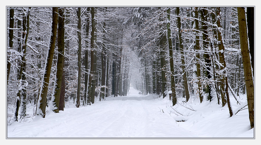 Licht am Ende des Weges