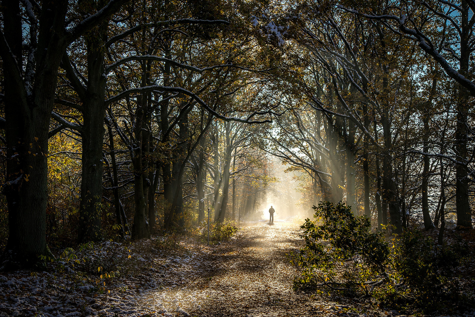 Licht am Ende des Weges...