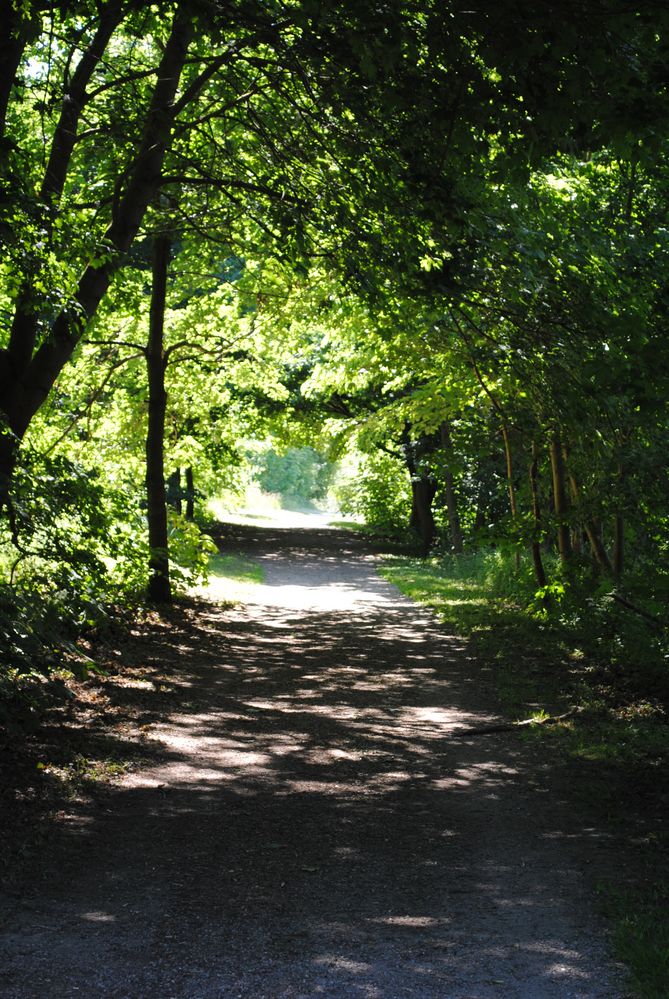 Licht am Ende des Weges