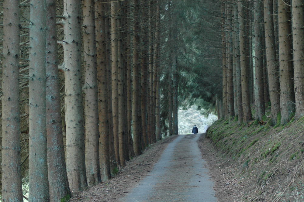 Licht am Ende des Weges