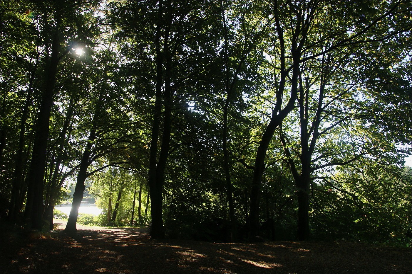 Licht am Ende des Weges