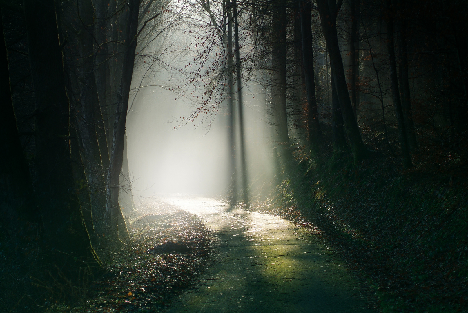 licht am ende des weges