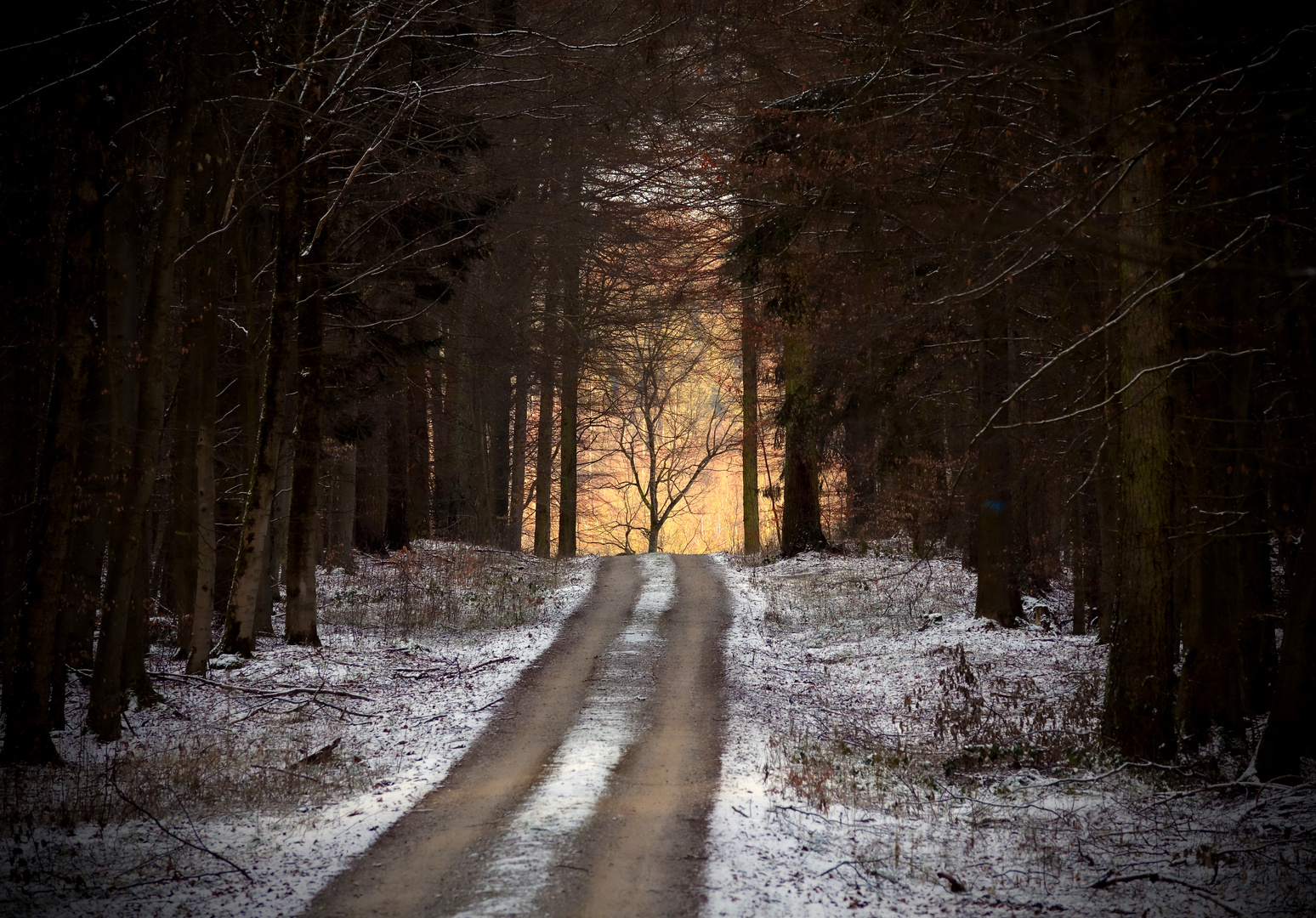 Licht am Ende des Weges