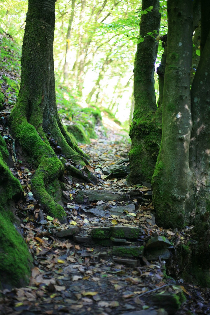 Licht am Ende des Weges