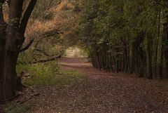 Licht am Ende des ... Weges