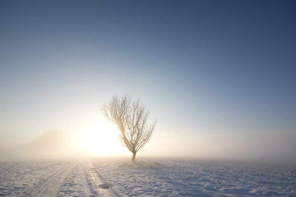 Licht am Ende des Weges