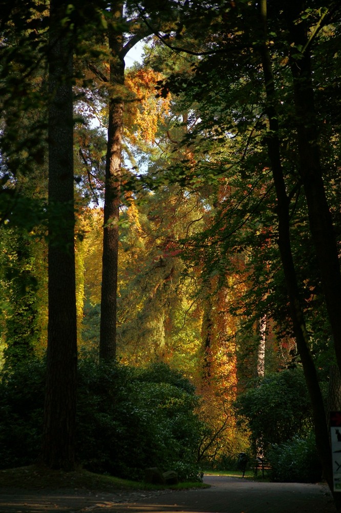 Licht am Ende des Weges