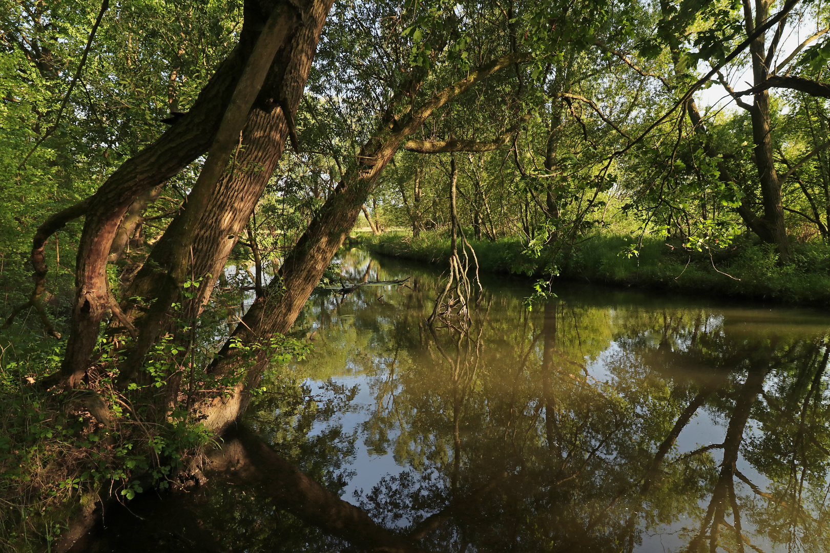 Licht am Fluss