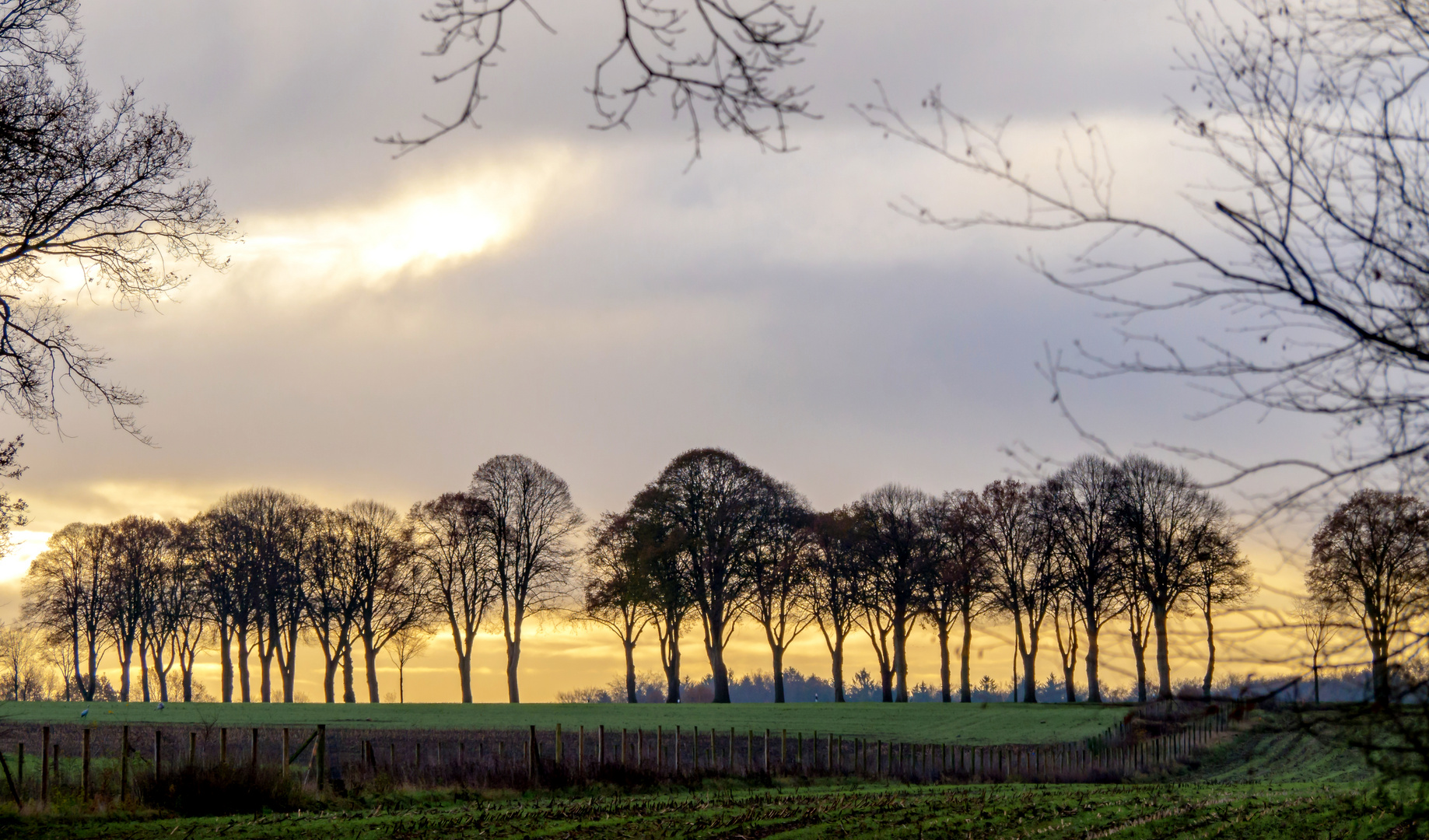 Licht am Horizont