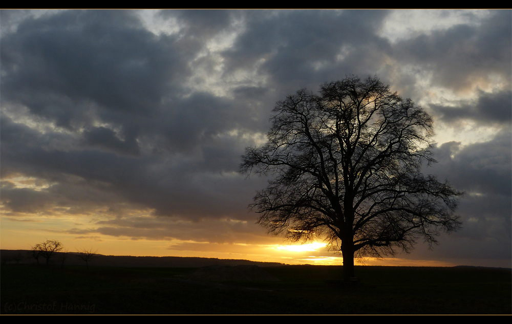 Licht am Horizont