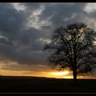 Licht am Horizont