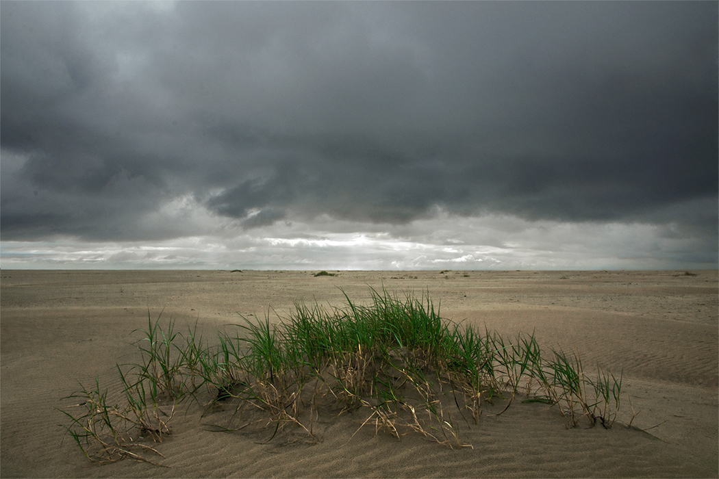 Licht am Horizont…