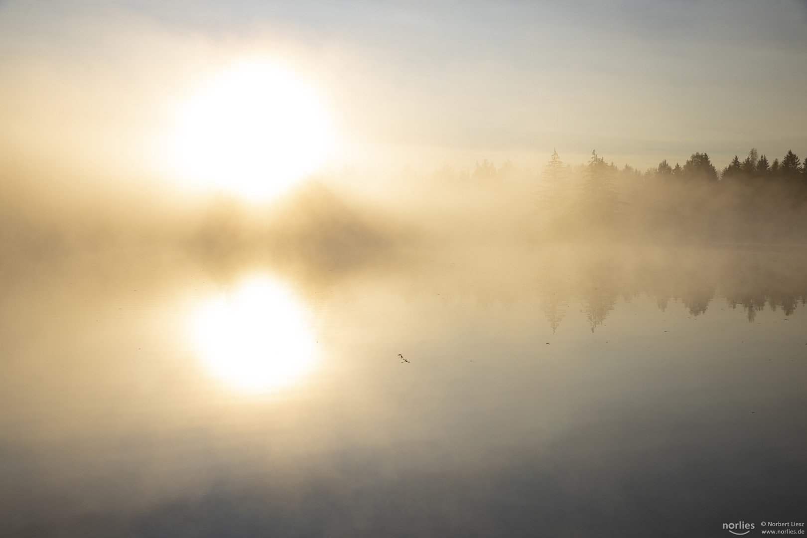 Licht am See