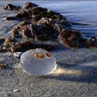 Licht am Strand