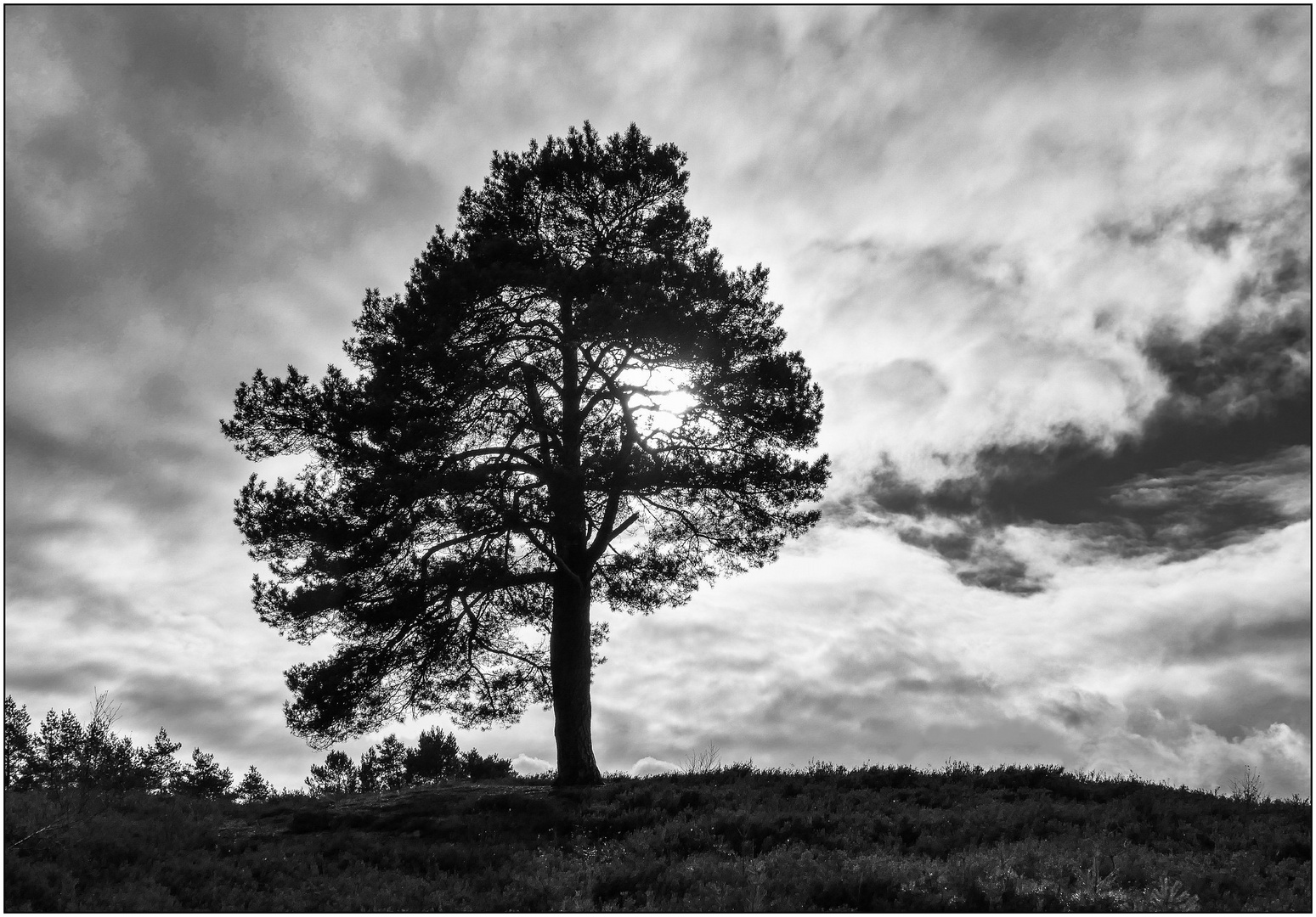 Licht am SW-Freitag in der LG-Heide