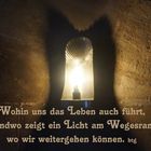 Licht am Wegesrand