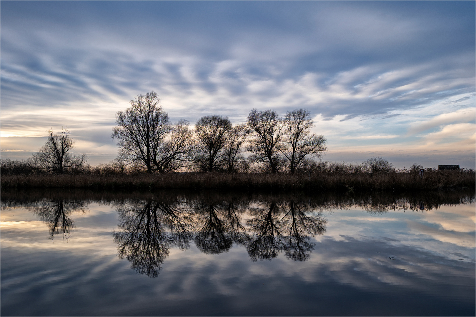 Licht an der Peene..