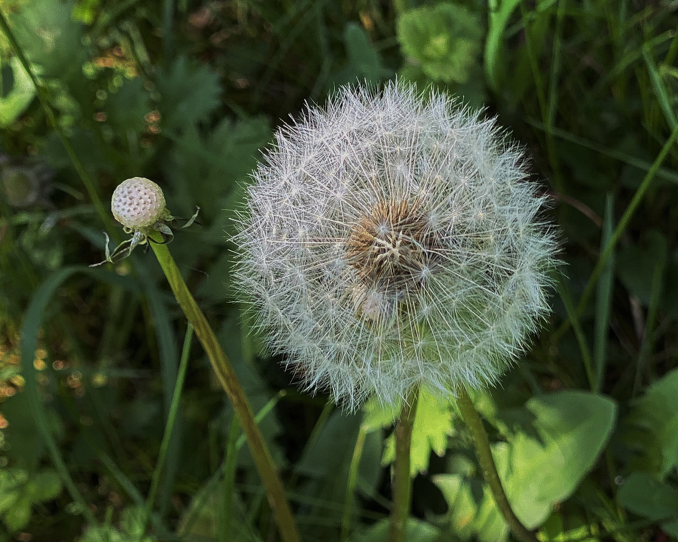 Licht an, Licht aus