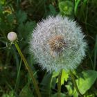 Licht an, Licht aus