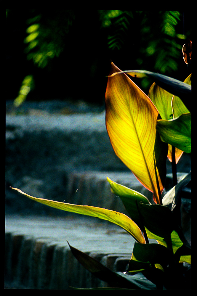 Licht Andalusiens 5