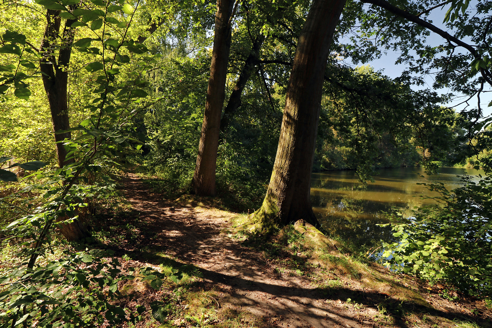 Licht auf dem Uferweg