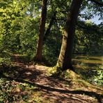 Licht auf dem Uferweg