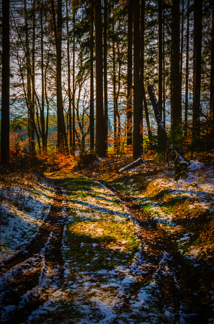 Licht auf dem Weg