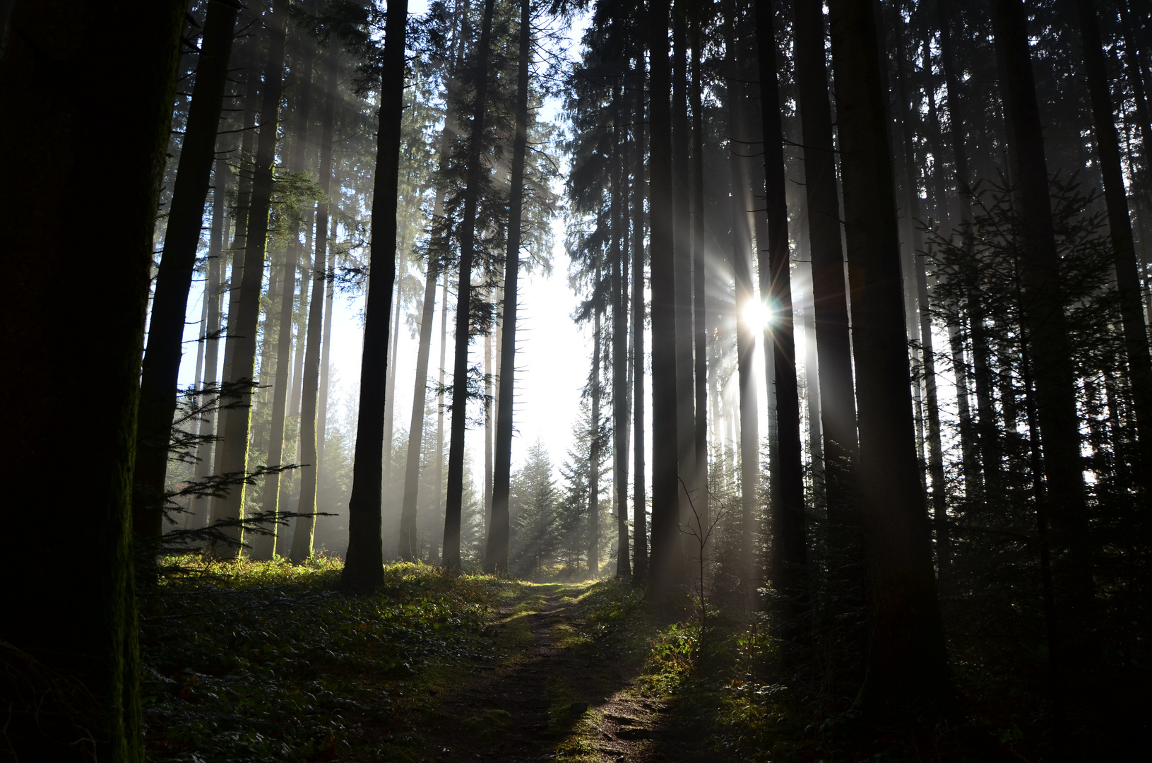 Licht auf dem Weg