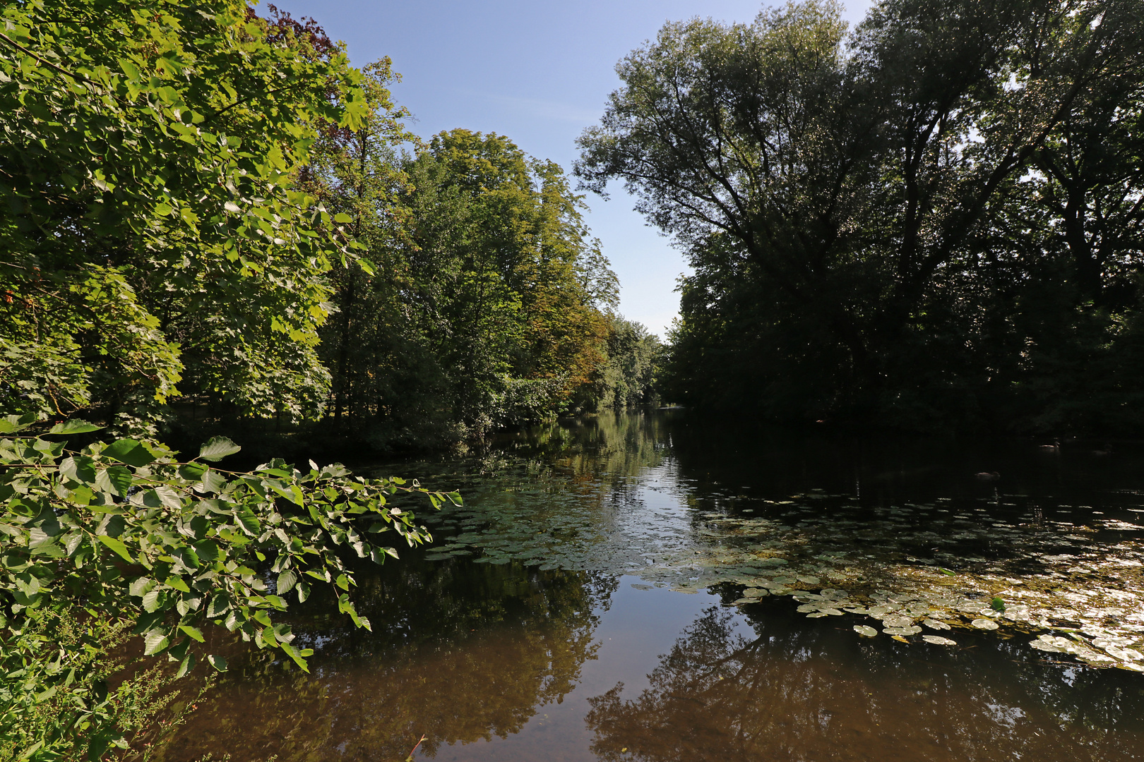 Licht auf der Flussbiegung