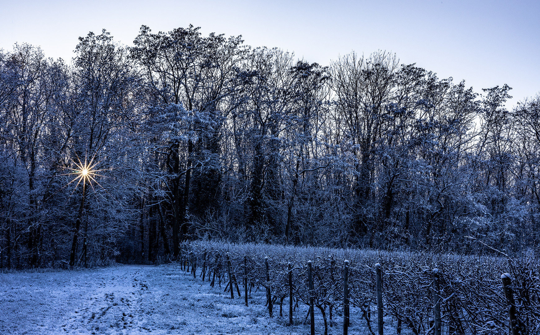 Licht aus dem Dunkel